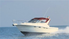 open cruiser 29.83 ft